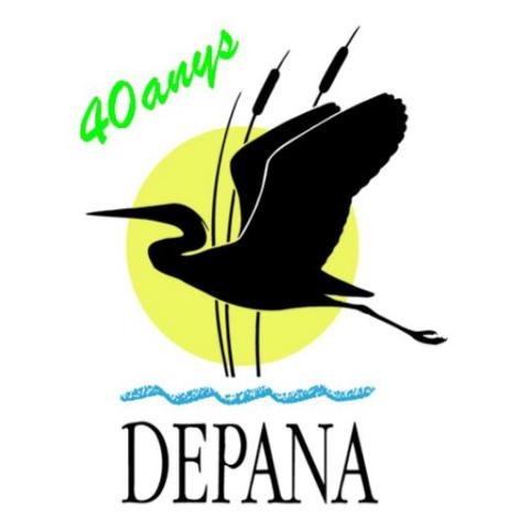 Profile picture for user @depana