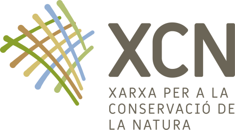 Profile picture for user XCN